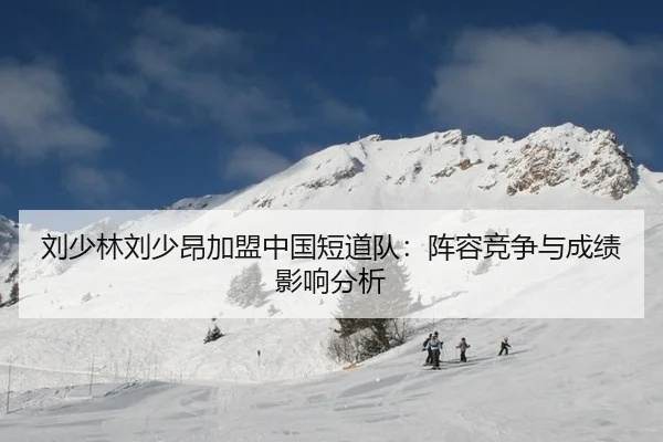 刘少林刘少昂加盟中国短道队：阵容竞争与成绩影响分析